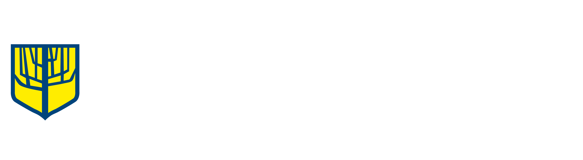 LOGO USA V + ACREDITACION-1